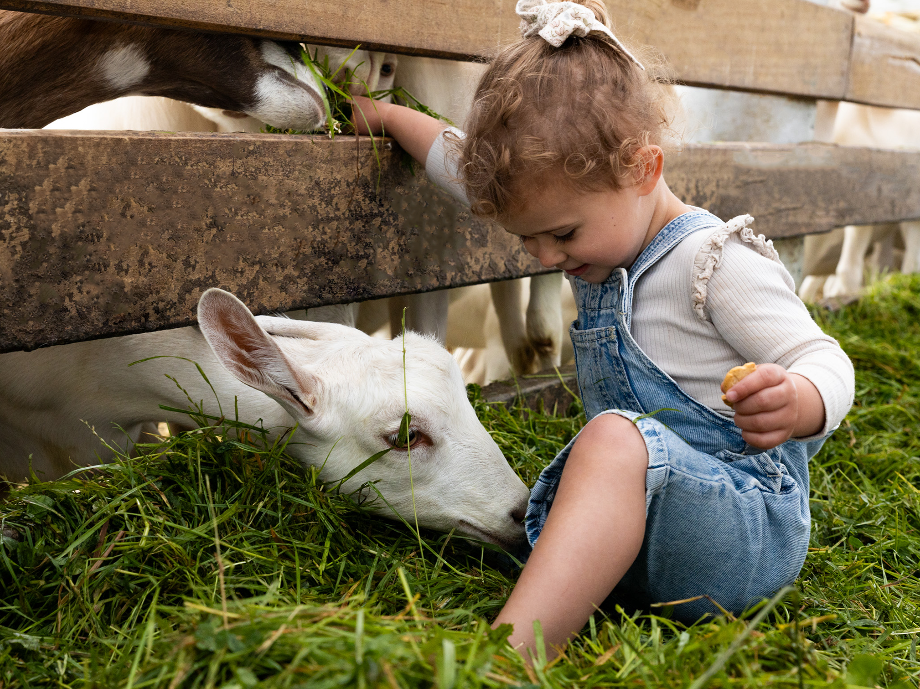 Child-in-barn-8 Child-in-barn-8